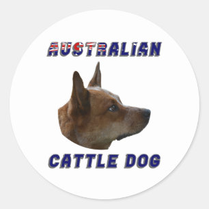 Adesivo Redondo Cão de Bovinos Australiano