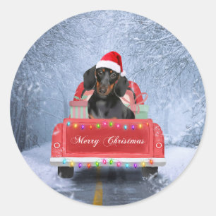 Adesivo Redondo Cão de Dachshund em Neve sentado no Caminhão de 