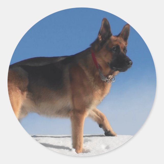 Adesivo Redondo Cão De German shepherd Saudável E Feliz (Frente)