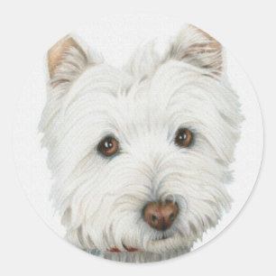 Adesivo Redondo Cão de Westie