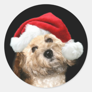 Adesivo Redondo Cão do papai noel