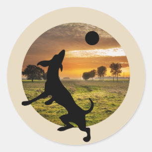 Adesivo Redondo Cão em jogo