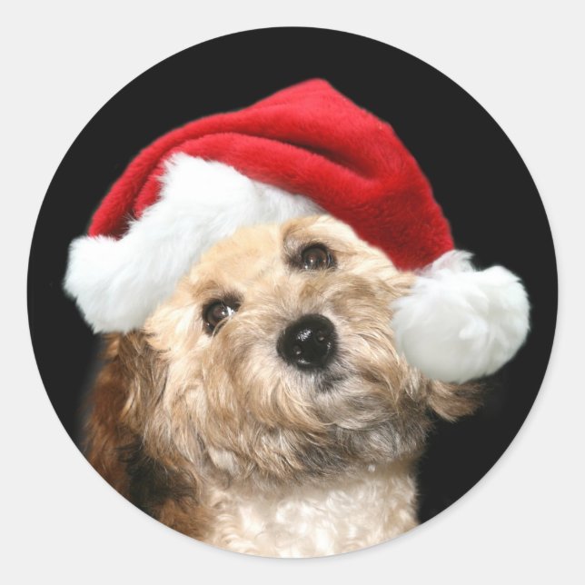 Adesivo Redondo cão papai noel (Frente)