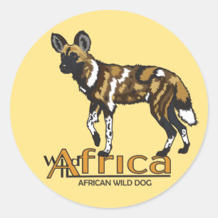 Adesivo Redondo Cão selvagem africano. África selvagem