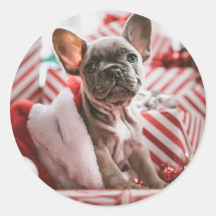 Adesivo Redondo Cão-touro francês de Natal - Francês