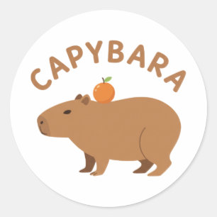 Adesivo Redondo Capivara Fofa Com Laranja Na Cabeça Meme Minimalis