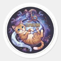 Capricórnio Gato Laranja Fofo Zodíaco Astrologia