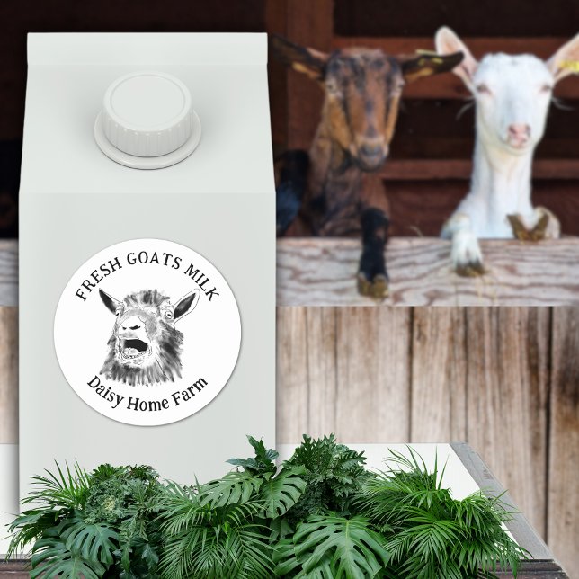 Adesivo Redondo Caprinos Leite Engraçado Caprino (Fresh goats milk custom business name black and white produce label with funny screaming goat art)