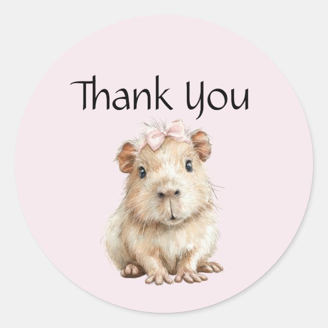 Adesivo Redondo Capybara Birthday Thank You (Frente)