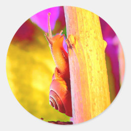 Adesivo Redondo Caracol