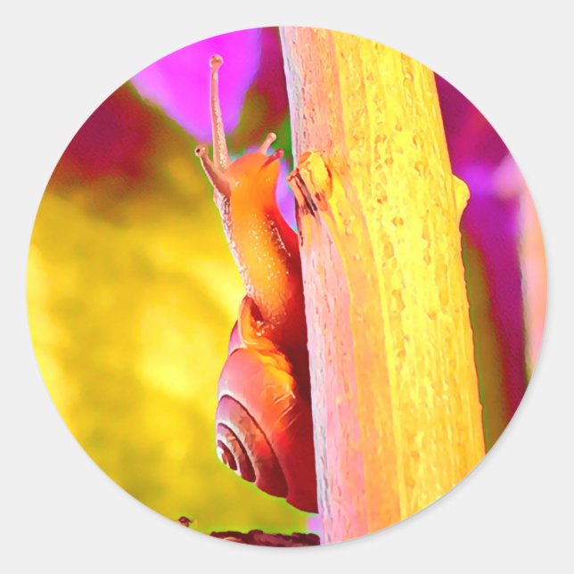 Adesivo Redondo Caracol (Frente)