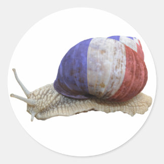 Adesivo Redondo Caracol-de-bandeira francês