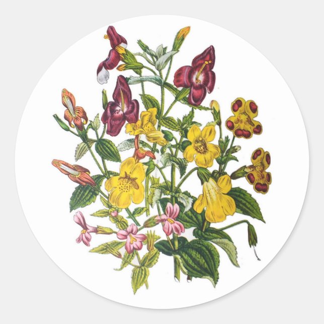 Adesivo Redondo Carnaval de flores (Frente)