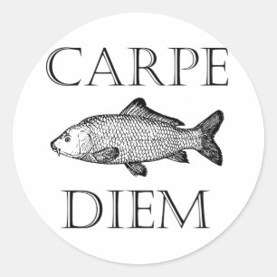 Adesivo Redondo Carpe Diem apreende o procrastinador dos peixes da
