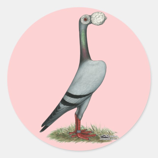 Adesivo Redondo Carrier Pigeon 2012 (Frente)