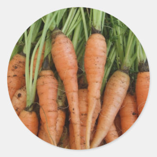 Adesivo Redondo Carrot Stickers