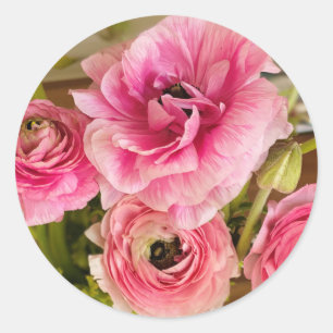 Adesivo Redondo Cartão de Saudação Ranunculus Rosa