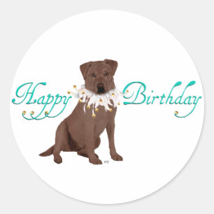 Adesivo Redondo Cartões de aniversários Labrador Retriever