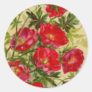 Adesivo Redondo Cartões de Catálogo de Pacotes de Semente Vintage,