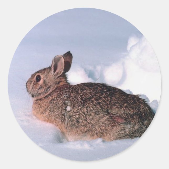 Adesivo Redondo Cartões de Natal para o Coelho da Neve: selos de e (Frente)