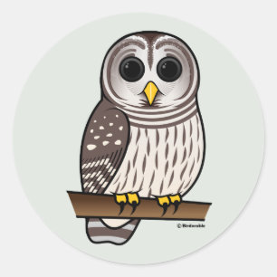 Adesivo Redondo Cartoon Barred Owl