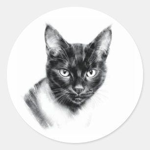 Adesivo Redondo Carvão de Gato