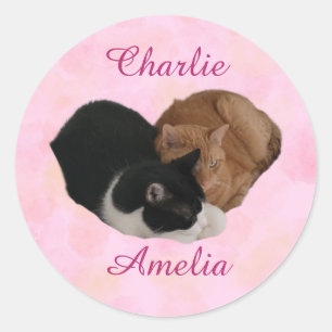 Adesivo Redondo Casal de Gatos Seus Nomes