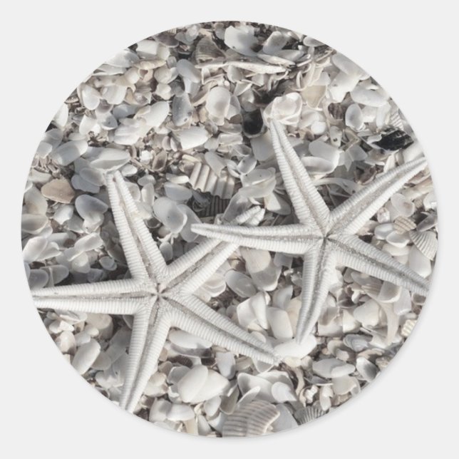 Adesivo Redondo Casal de Starfish sobre os Stickers da Praia (Frente)