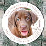 Adesivo Redondo Casamento Dourado Elegante de Fotografias Personal<br><div class="desc">Adicione o toque final aos seus anúncios de casamento de cães com estas fotos personalizadas, e personalizado 'Meus Humanos Casaram-se com adesivos. Personalize com sua foto, nomes e data favoritos. COPYRIGHT © 2020 Judy Burrows, Black Dog Art - Todos Os Direitos Reservados. Vinheta redonda clássica Elegante de foto Elegante de...</div>