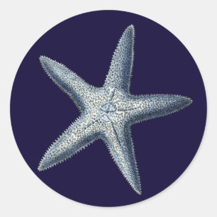 Adesivo Redondo Cascas de Indigo IV