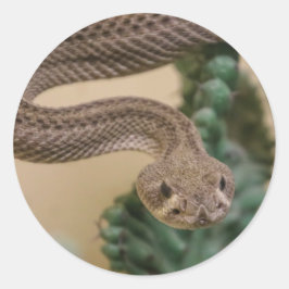 Adesivo Redondo cascavel