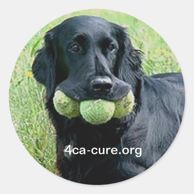 Adesivo Redondo Casey Sticker (Frente)