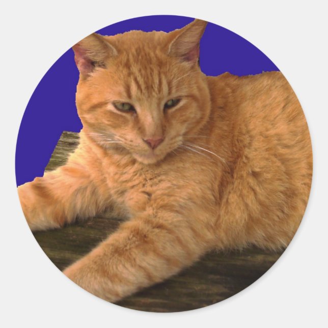 Adesivo Redondo Cat 8, Stickers (Frente)