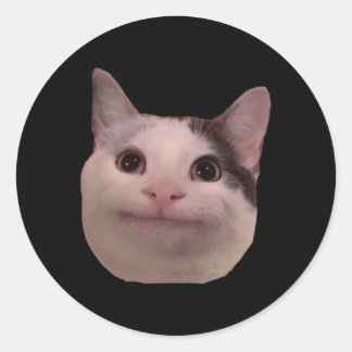 Adesivo Redondo Cat Beluga Sorria