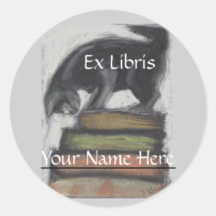 Adesivo Redondo Cat em Pilha de Livros - Arte Original