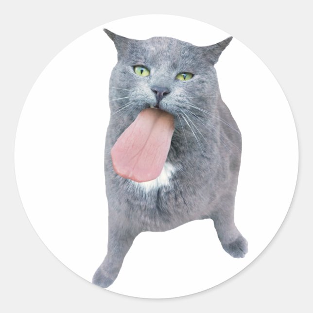 Adesivo Redondo Cat Pegou Sua Língua? (Frente)