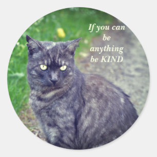 Adesivo Redondo Cat Posicionando em uma Motivação de Caminhada
