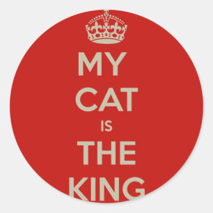 Adesivo Redondo Cat Qoute