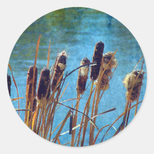 Adesivo Redondo Cattails na lagoa