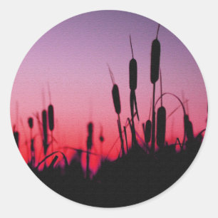 Adesivo Redondo Cattails no por do sol