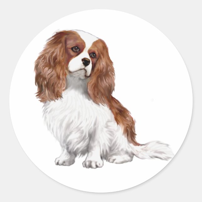 Adesivo Redondo Cavalier King Charles Spaniel (A) - Blenheim 1 (Frente)