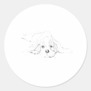 Adesivo Redondo Cavalier King Charles Spaniel Animal de Estimação