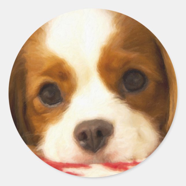 Adesivo Redondo Cavalier King Charles Spaniel Floco de Neve (Frente)