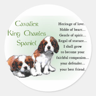 Adesivo Redondo Cavalier King Charles Spaniel Gifts