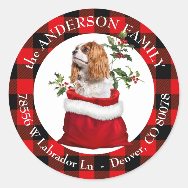 Adesivo Redondo Cavalier King Charles Spaniel Xadrez Frame (Frente)