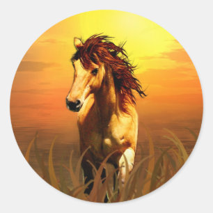 Adesivo Redondo Cavalo da manhã