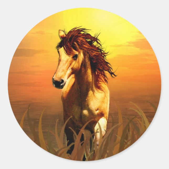 Adesivo Redondo Cavalo da manhã (Frente)