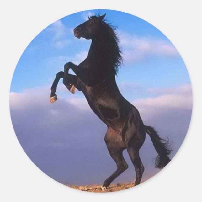 Adesivo Redondo Cavalo-de-Corda-Grande-Negro (Frente)