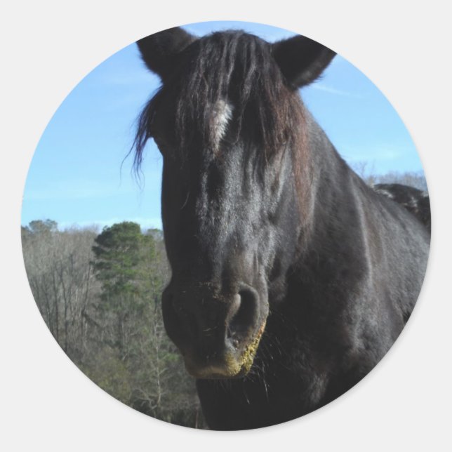 Adesivo Redondo Cavalo de Rascunho Negro Resgatado (Frente)