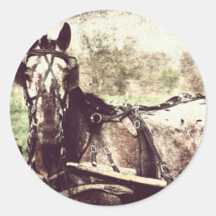 Adesivo Redondo Cavalo do Appaloosa